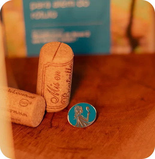 Entre agora para o WSET Nível 2